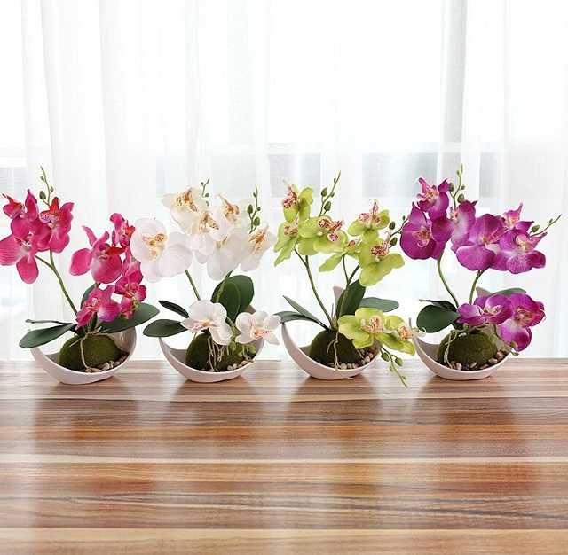 Giải Mã Câu Hỏi: Bàn Làm Việc Nên Để Cây Gì? 10 Cây lan hồ điệp thích hợp trang trí bàn làm việc người mệnh Thổ