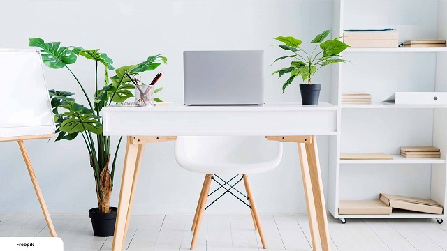 Giải Mã Câu Hỏi: Bàn Làm Việc Nên Để Cây Gì? 14 Trang trí bàn làm việc bằng cây xanh giúp giảm stress