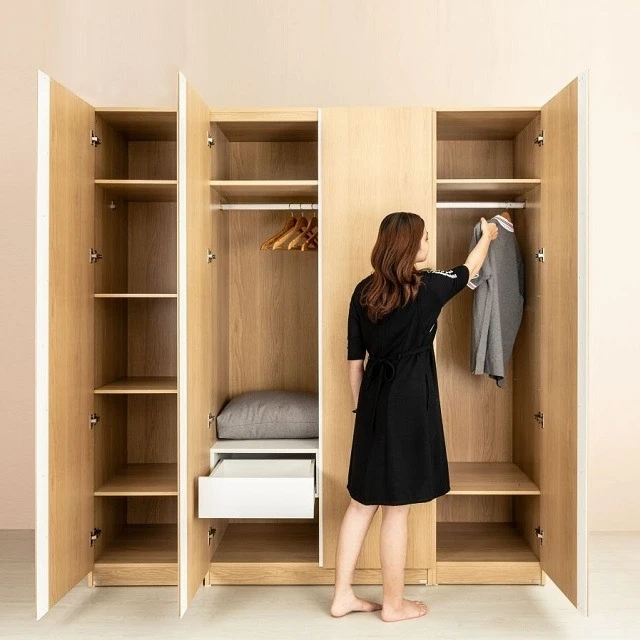 Mẫu tủ quần áo kịch trần 1 Mẫu tủ quần áo kịch trần 1