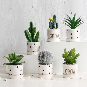 Những chậu cây mini để bàn sẽ giúp không gian làm việc sinh động hơn