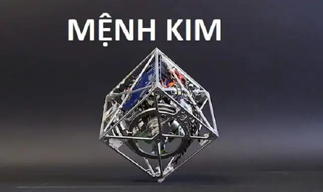 Tìm hiểu bản mệnh giúp việc chọn lựa cây để bàn dễ dàng hơn Tìm hiểu bản mệnh giúp việc chọn lựa cây để bàn dễ dàng hơn