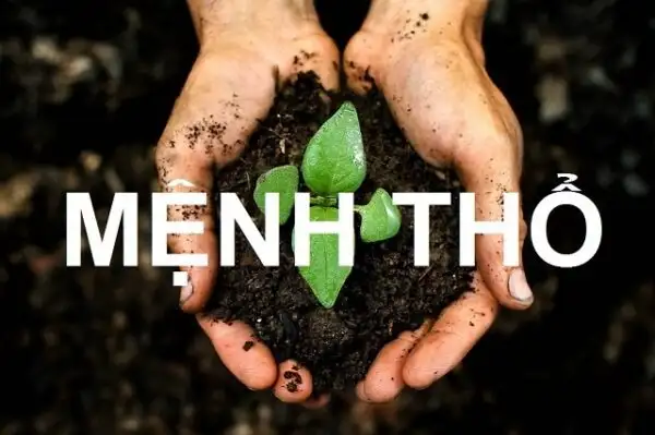 Tìm hiểu người mệnh Thổ Tìm hiểu người mệnh Thổ