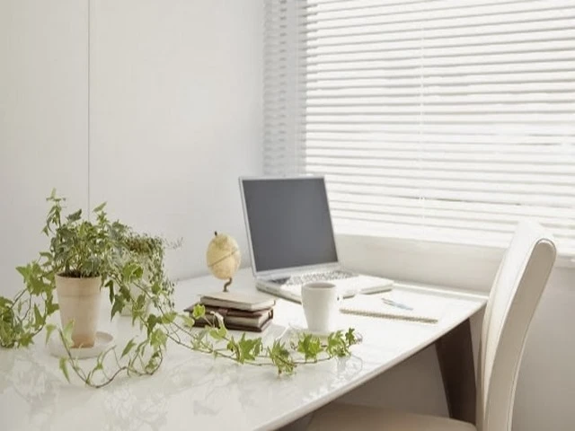 Bố trí bàn làm việc cho nữ Giáp Tý Bố trí bàn làm việc cho nữ Giáp Tý